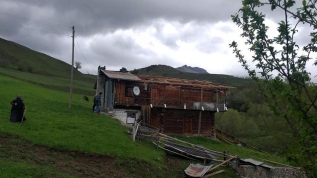 Artvin'de fırtına: 28 ev, 12 ahır ve 24 samanlık hasar gördü