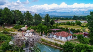 Aksu'nun narin misafirleri titizlikle ağırlanıyor
