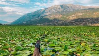 Nilüferleriyle ünlü bir doğa harikası! Görenleri hayran bırakıyor