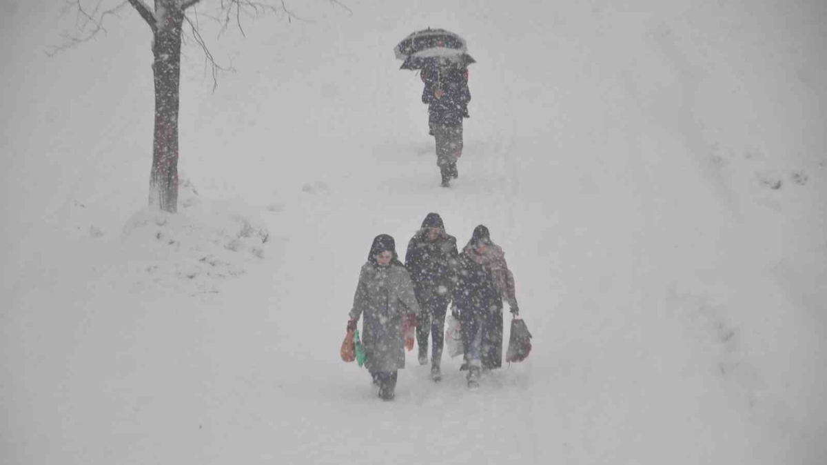 Hakkari Yüksekova'da kar yağışı hayatı olumsuz etkiledi