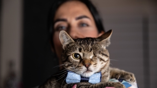 'Sevgi her �eyi iyile�tirir'