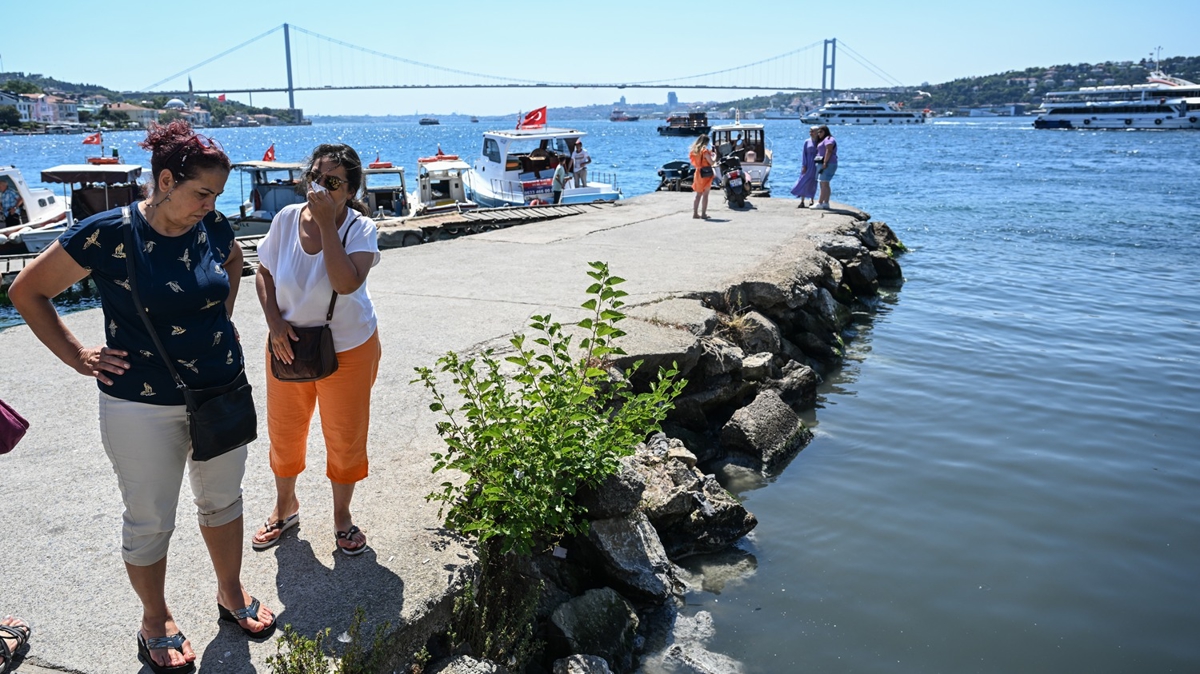 stanbul'da temizlenmeyen dereler Boaz'da ve Marmara Denizi'nde kirlilie neden oluyor