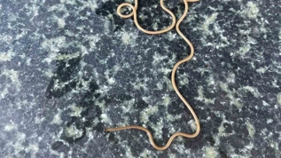 Ne ba�� var ne sonu! �e�mede g�r�len canl� merak konusu oldu