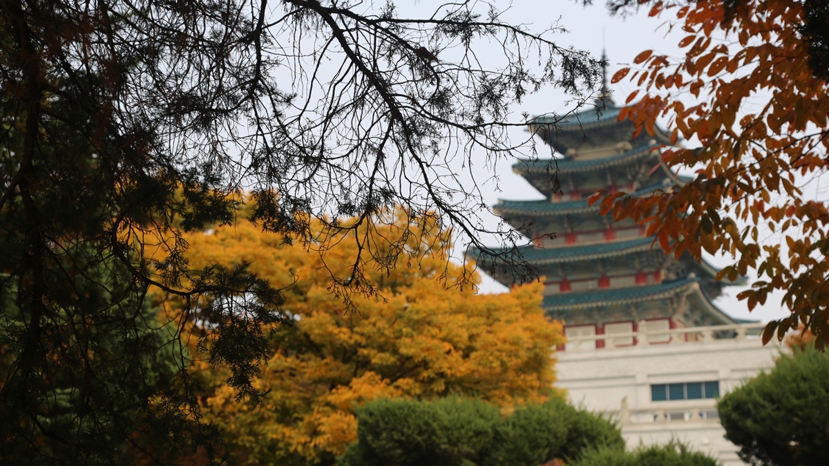 Gney Kore parklar gz mevsiminde grsel len yaratyor