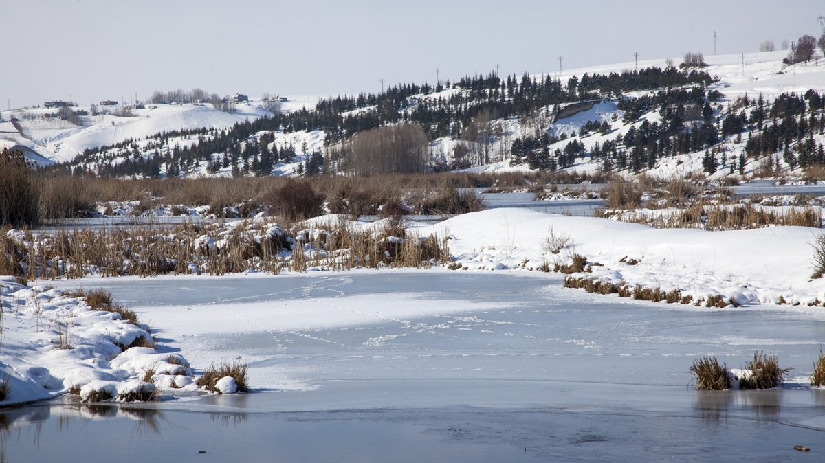 Bitlis'te kar yandan etkilenen sulak alan buz pistine dnt