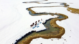 Van'ın karla kaplı arazileri etkileyici manzaralara sahne oldu