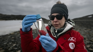 Bilim insanlar, Antarktika'da deniz ve gl ekosistemlerini aratrd