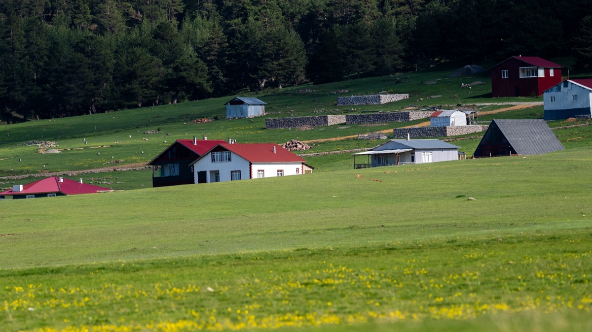 Ankara'da Mahya Tepesi'nin eteklerindeki yayla, yeilliiyle dikkat ekiyor