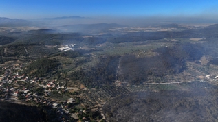 İzmir'de yanan alanlar havadan görüntülendi