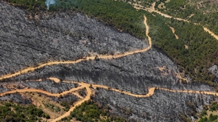 Uak'ta yanan alanlar dronla grntlendi