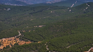 16 yl nce yanan alanlar yeile brnd