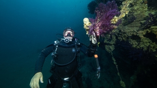 1968'de batp yan yatmt: Kaptan Frangos merakllarn bekliyor!