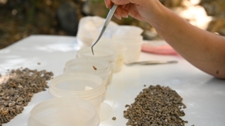 13 bin yllk izler! Direkli Maaras'nda yeni keif