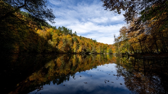 Yedigller'de kartpostallk grntler: Etraf sonbahar renklerine brnd