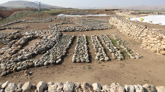 �ay�n� Tepesi'nde ya�ayan insanlar�n genetik haritas� ��kar�l�yor