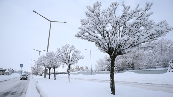 Etraf beyaza b�r�nd�: Yurttan kartpostall�k kar manzaralar�