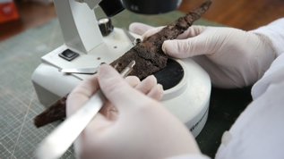 Hadrianopolis Antik Kenti'nde 1500 y�ll�k b��aklar g�n y�z�ne ��kar�ld�