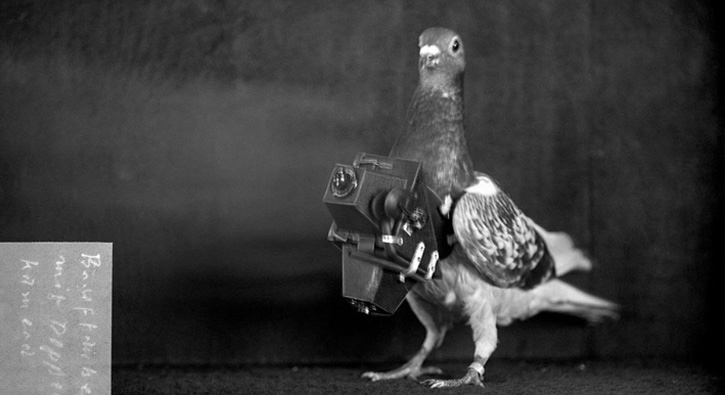 Geçmişin fotoğrafçı, casus güvercinleri