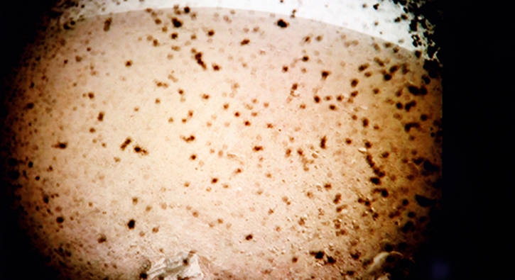 Mars kaifi InSight bir fotoraf yollad NASA alanlar lgna dnd